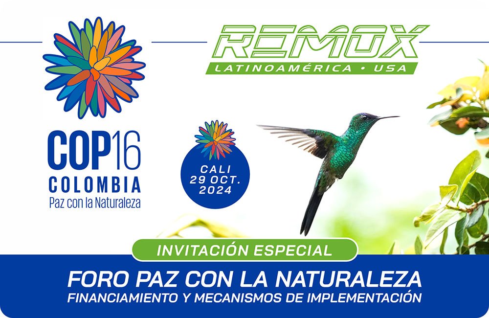 REMOX ENERGY EN LA COP16 2024 – CALI. COLOMBIA